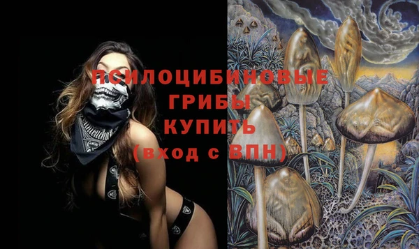 мдпв Арсеньев