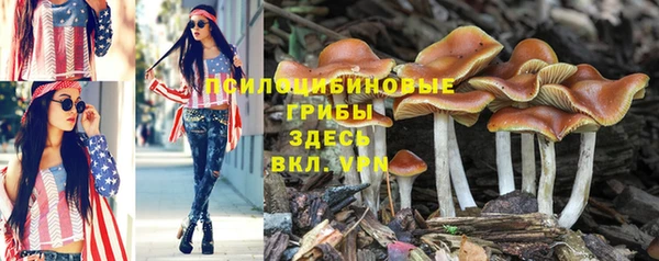 мдпв Арсеньев