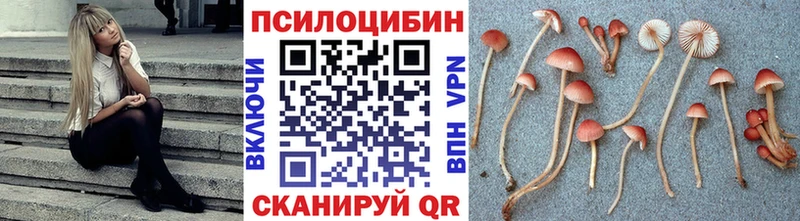 Галлюциногенные грибы мухоморы Кемь